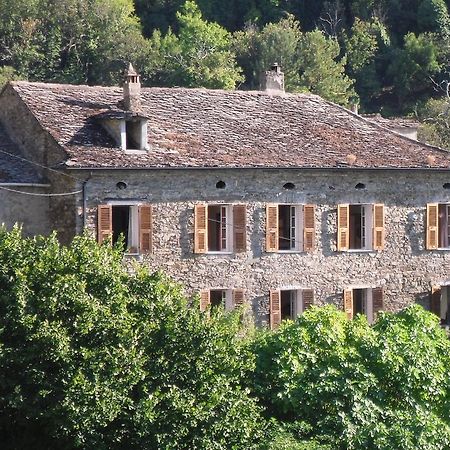 Chambre D'Hotes La Marlotte Castello-di-Rostino Bagian luar foto