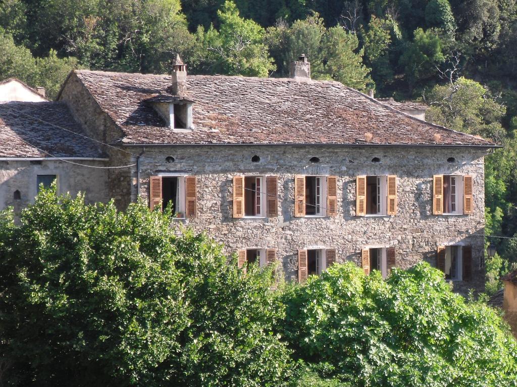 Chambre D'Hotes La Marlotte Castello-di-Rostino Bagian luar foto