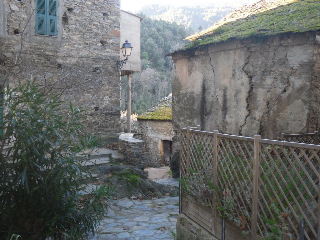 Chambre D'Hotes La Marlotte Castello-di-Rostino Bagian luar foto