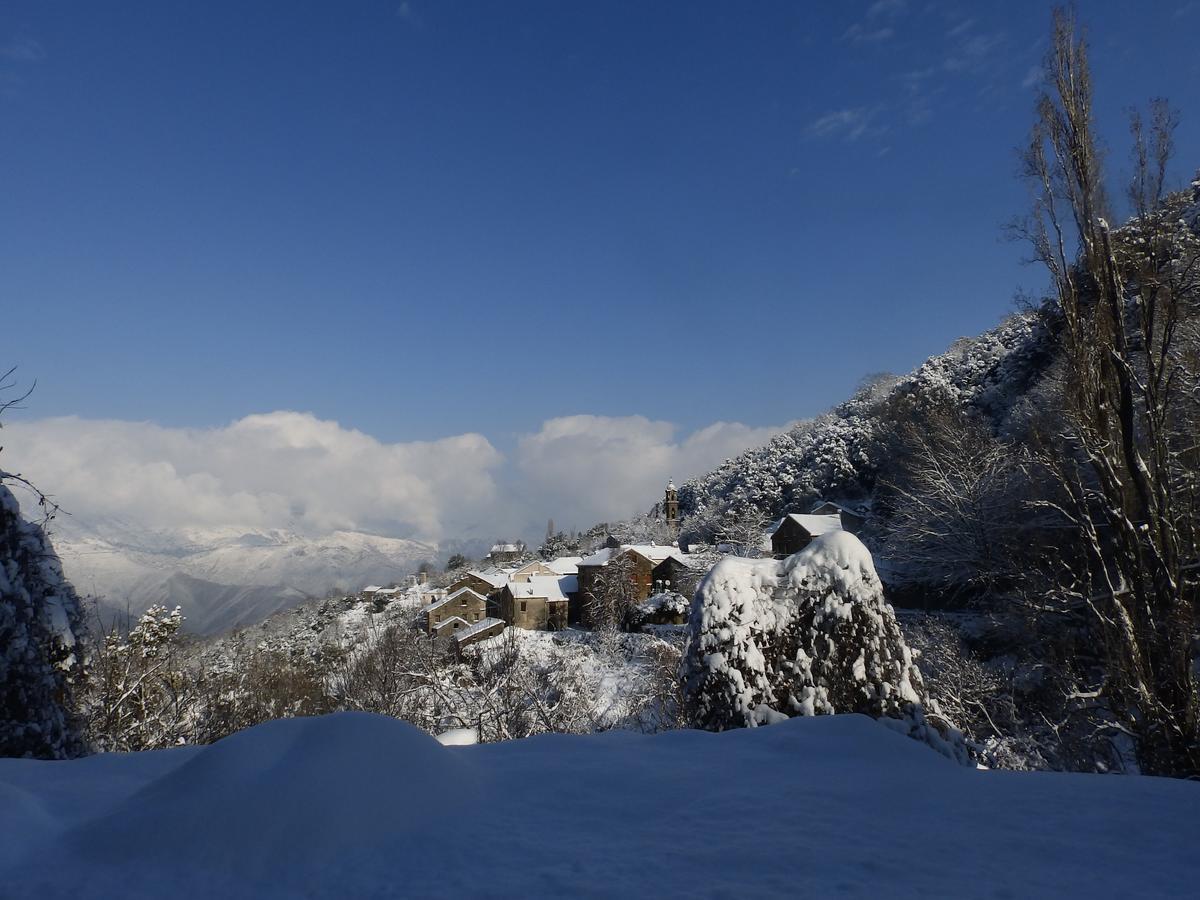 Chambre D'Hotes La Marlotte Castello-di-Rostino Bagian luar foto